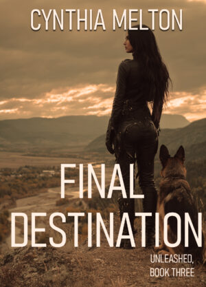 Final Destination