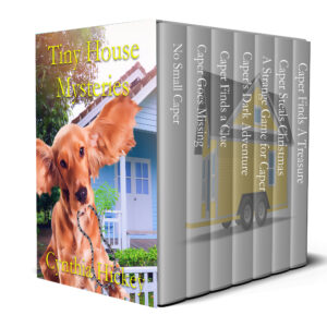 Tiny House Mysteries